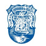 LUZ